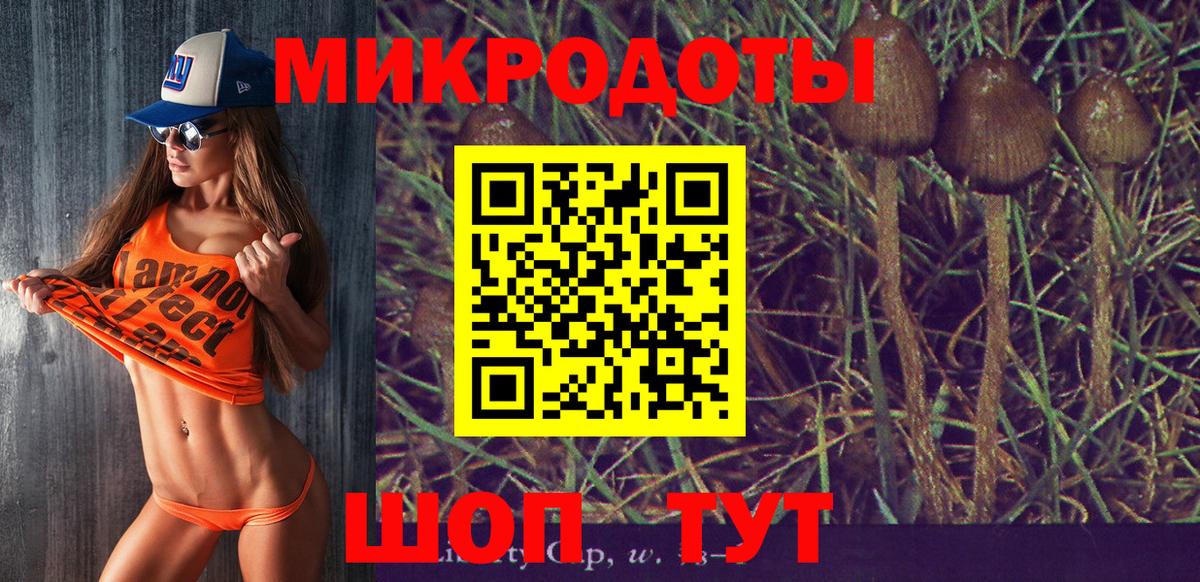 Ипатово  Псилоцибиновые грибы Cubensis  Вход с VPN 